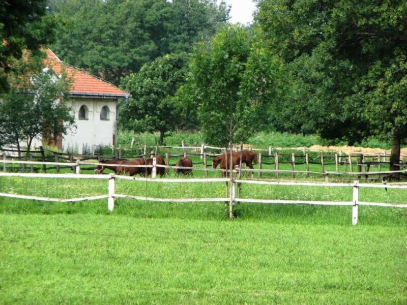 Станция Голубичи Сербия